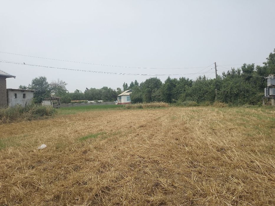 Tomorqa 12 sotux sotuxi 29 ml dan