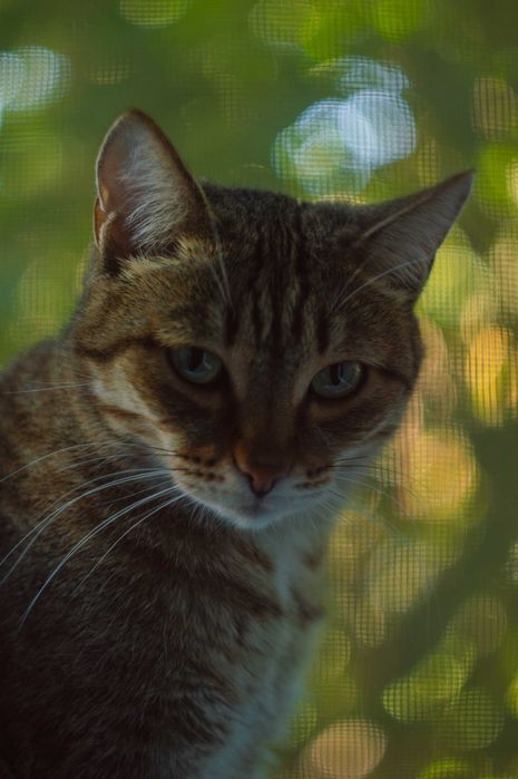 Продам фотоаппарат Nikon D3200