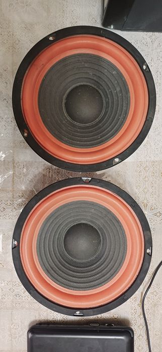 Kalonka 20 sm holati yangiday