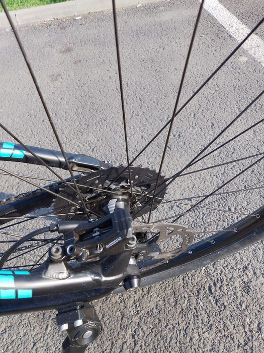 Focus Bold electrica, Di2 XT, 29"