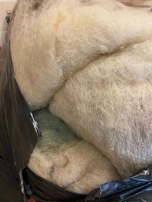 Lana curata - caier cantitate mare, izolatie naturala casa