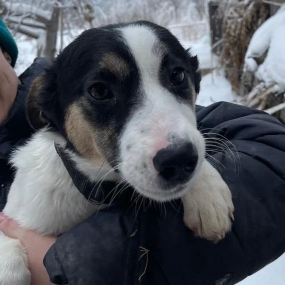 Возьми меня к себе