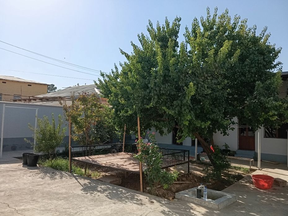 Termizda 10 xonali uy