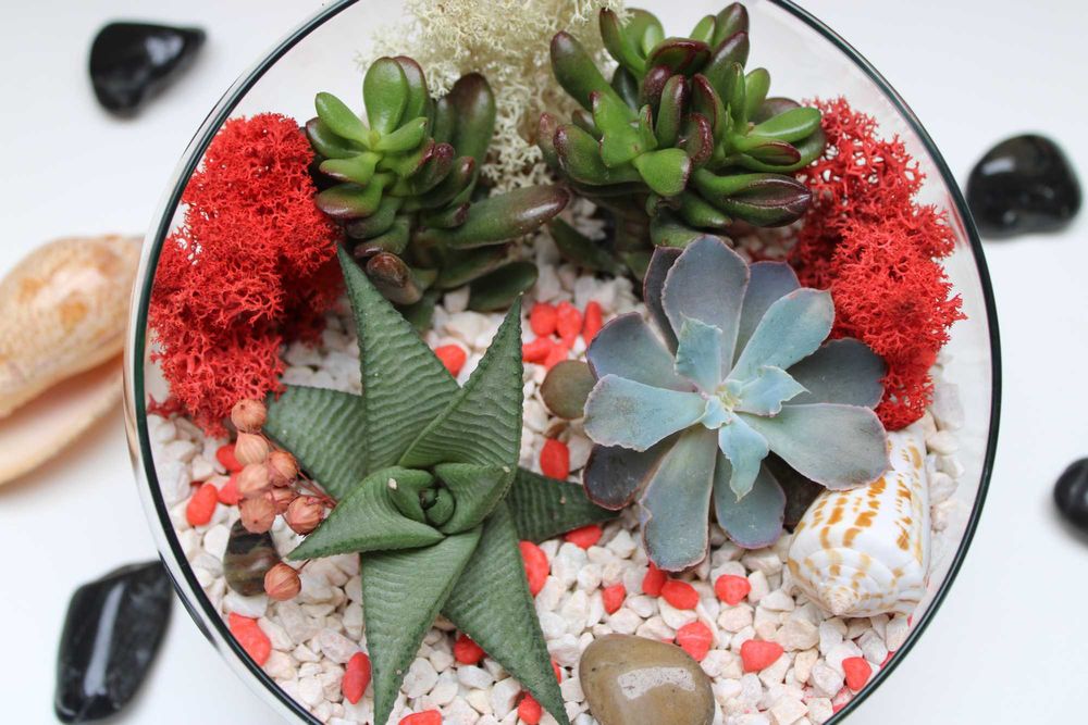 Флорариум с езеро - подарък за деня на влюбените, 8ми март, рожден ден