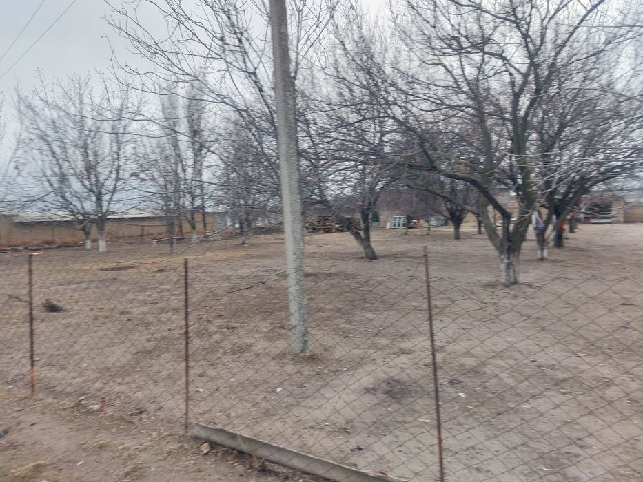 Участка сотилади, 10сотик