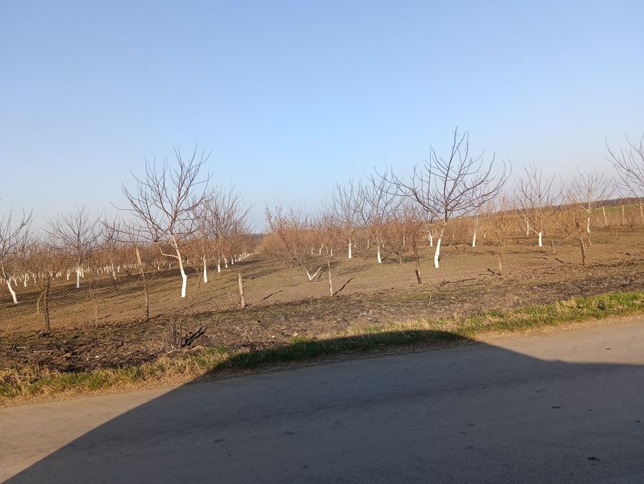 Продава се Земеделски имот в Генерал Тошево -  кв.м за 4 €/дка - Снимка #6