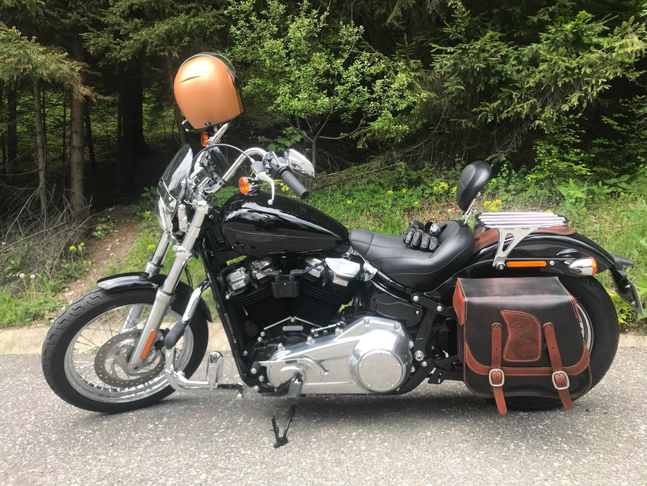 Accesorii si piese Harley Davidson Softail Standard 2021