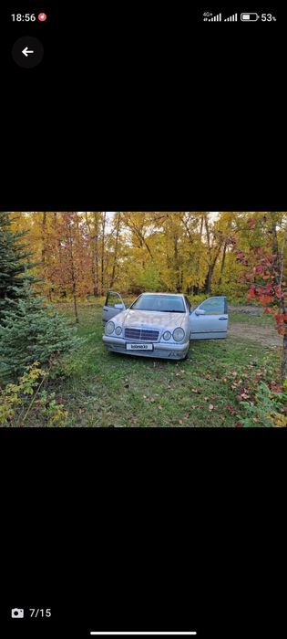 Мерс лупарик 210