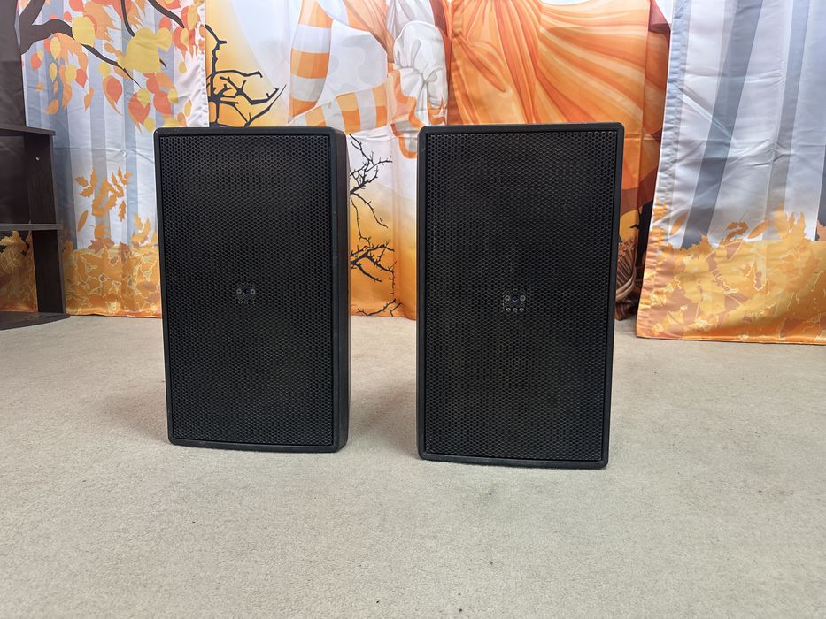 Оригинальная Проф. Акустика JBL Control 29AV-1