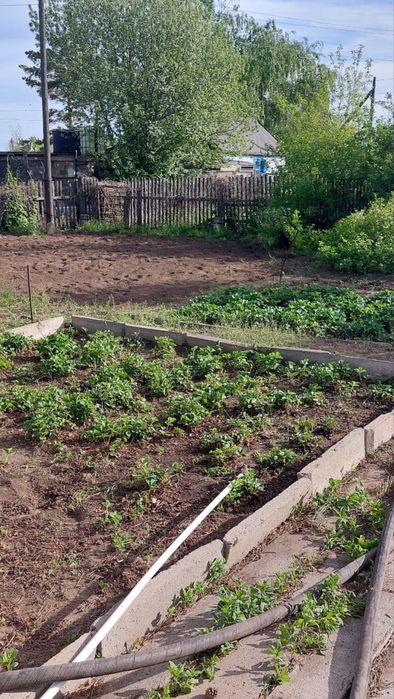 Продам дачу в « Цветущем саду»