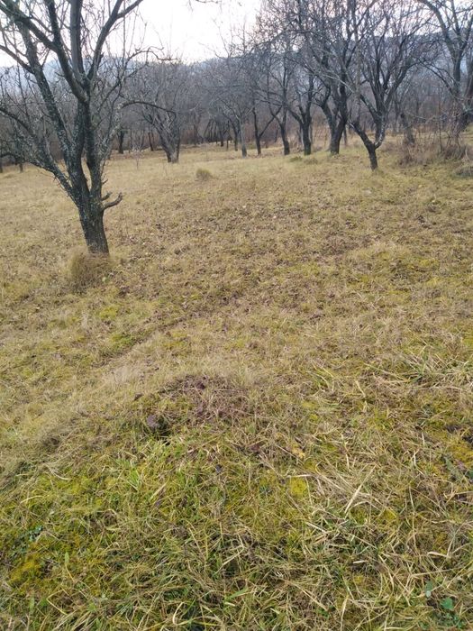 Teren de vanzare in comuna Poienari de Muscel