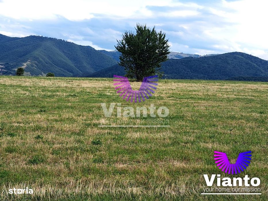 Oportunitate-Teren Extravilan 3100 mp cu vedere Panoramica-Tropinii No