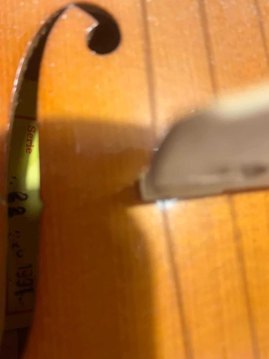 Vioara 4/4, Reghin - Model Profesional I (an 1991) + arcus + cutie