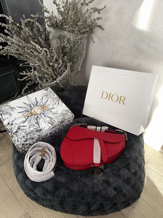 Dior Saddle Bag Red 24 x 20 x 11 cm