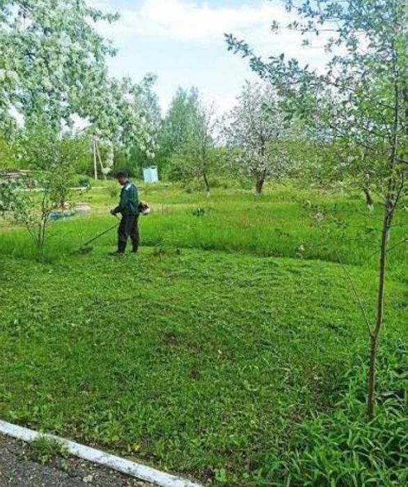 Покос травы тримером.