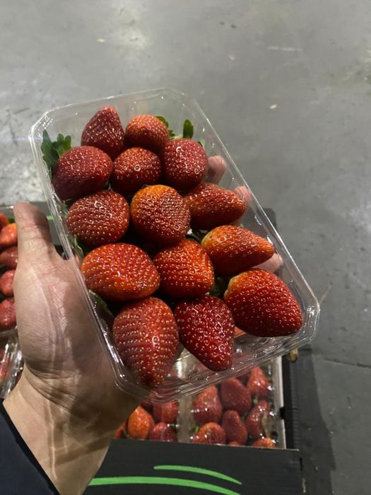 Клубника Египетская