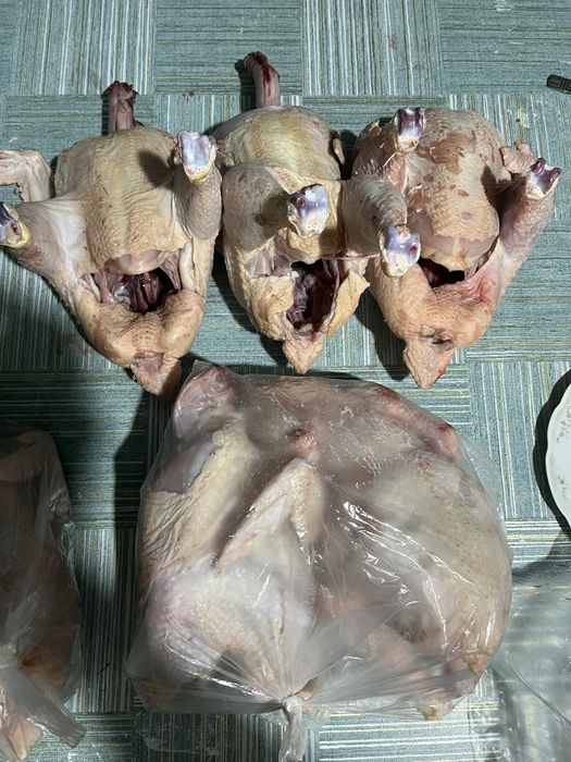 Домашнее мясо бройлера
