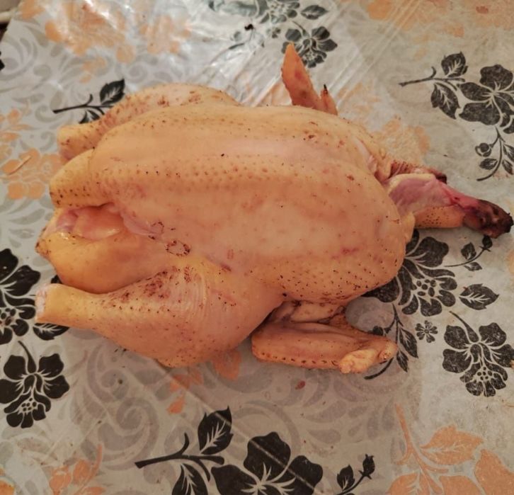 Куры домашние продаю