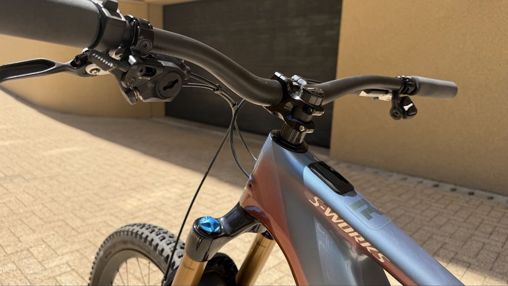 Specialised Turbo Levo Sworks
