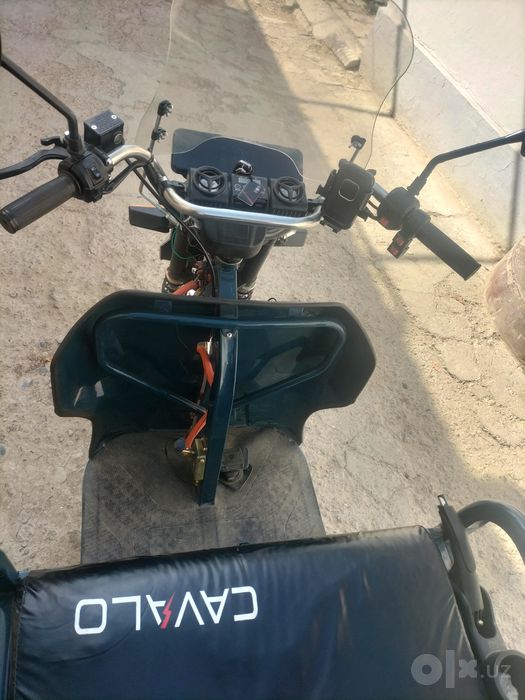 elekron muravey cavallo