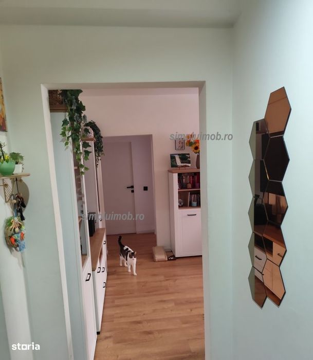 3 Camere Metrou 1 Decembrie