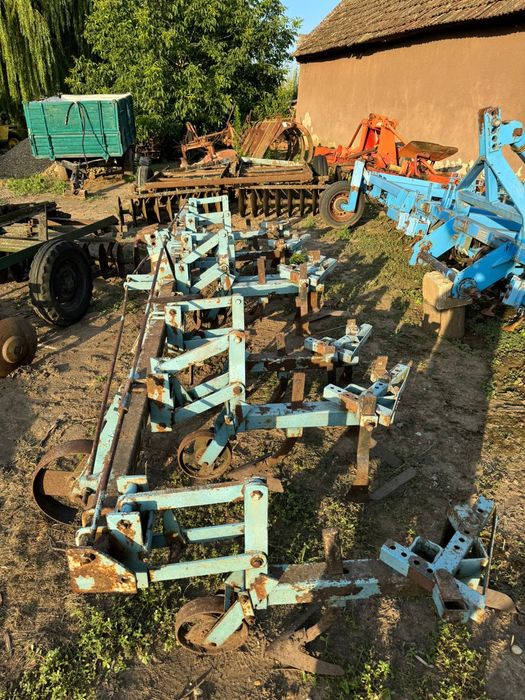 Prasitoare romaneasca 7