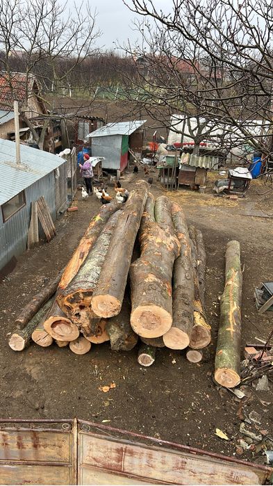 Transport Lemn de foc