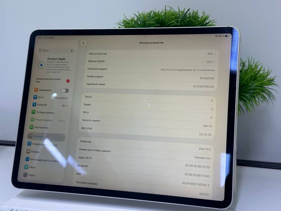 iPad Pro / 256gb / Akb: 81% /