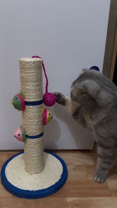 Продам когтеточку