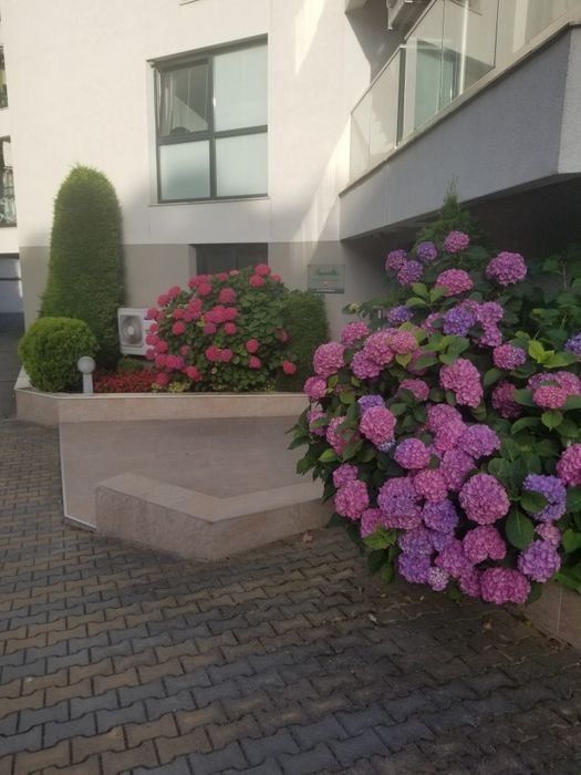 Продава се Двустаен апартамент в Варна, Бриз - 64 кв.м за 2797 €/кв.м - Снимка #9