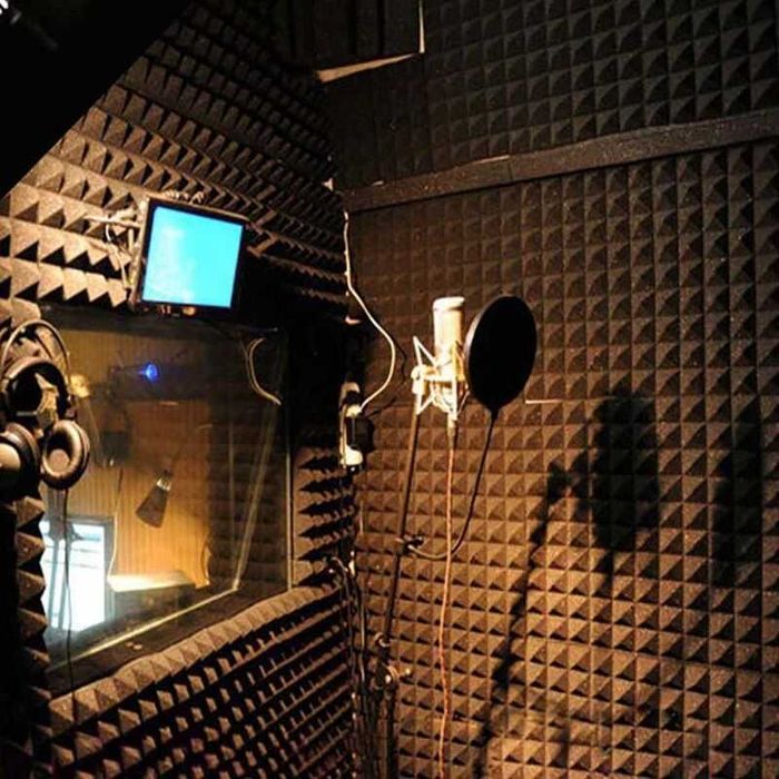 Audio Studio Inregistrari audio si creatie muzicala