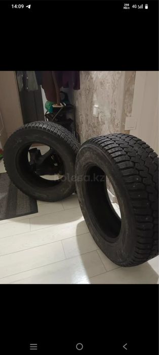 Продам две зимние шины,шипованные