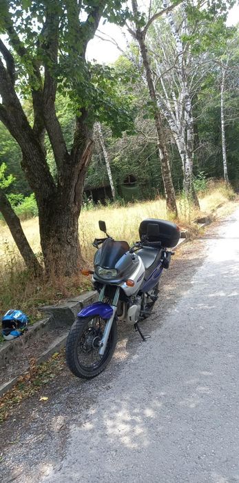 Suzuki XF650 1800 €