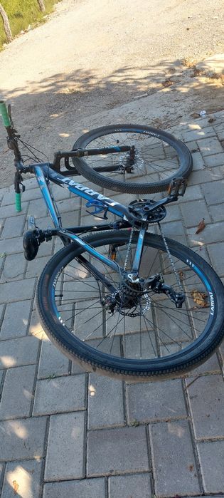 Bicicleta carpat.