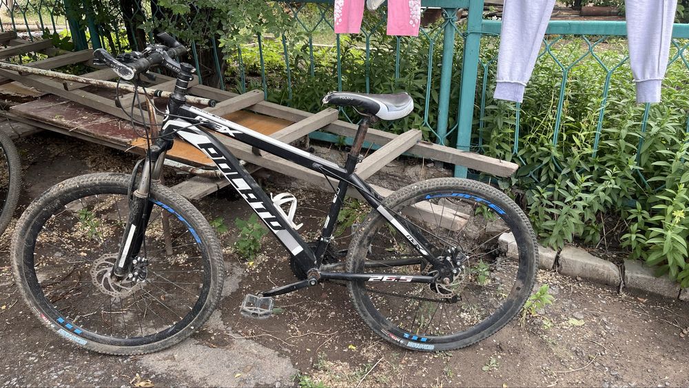 Три велосипеда по цене одного