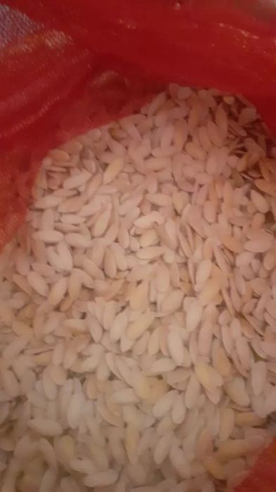 Продаётся Семена дыни бакинка очень хороший сорт