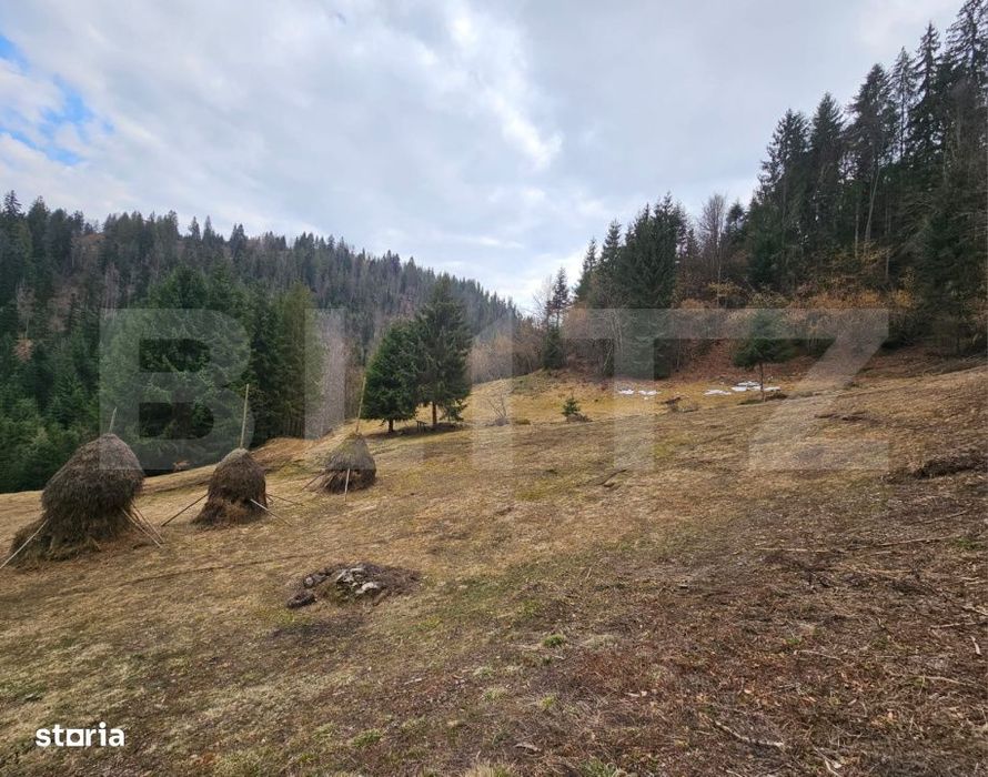 Teren extravilan 11.480 mp cu potential intravilan – Trancesti, Scar