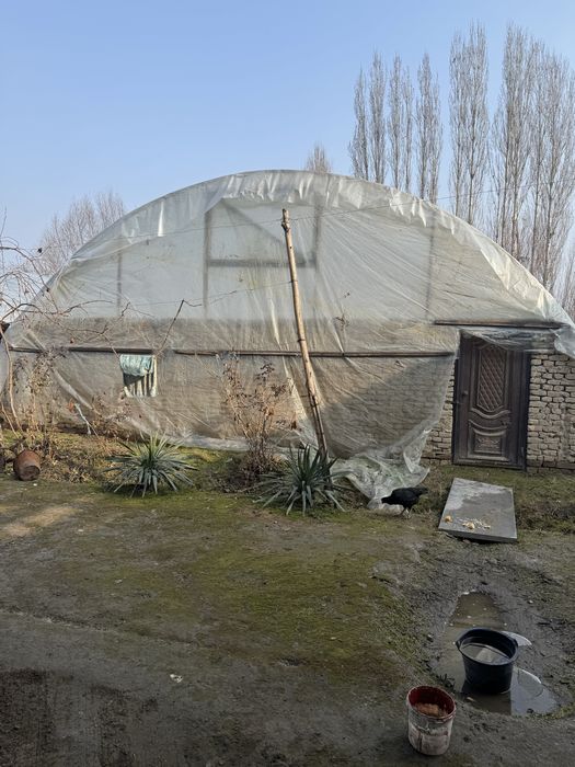 Тёплица асакада сотилади