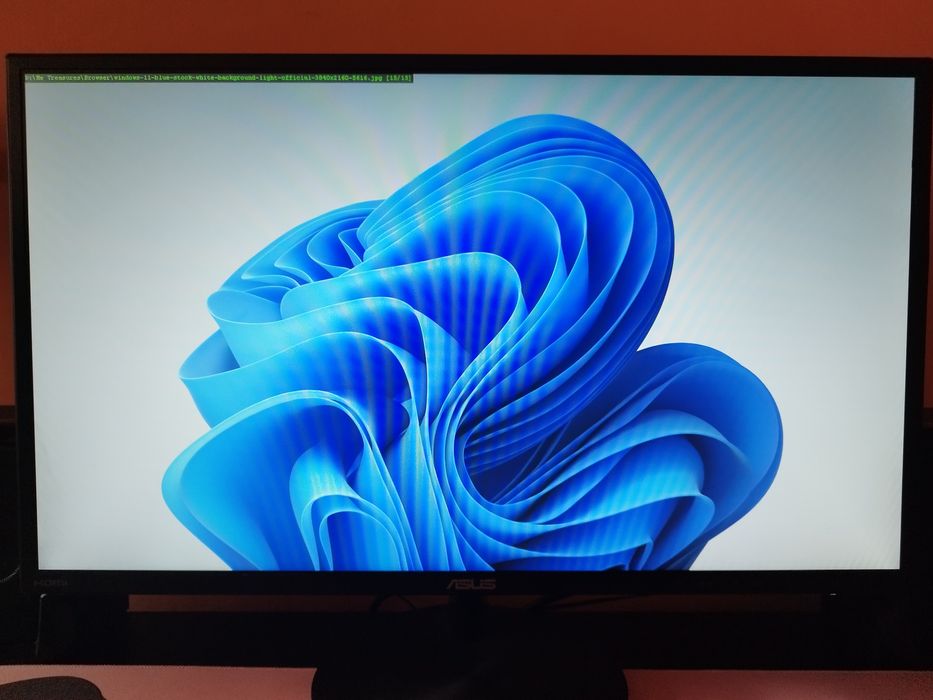 Monitor Asus 23.6" VN247H