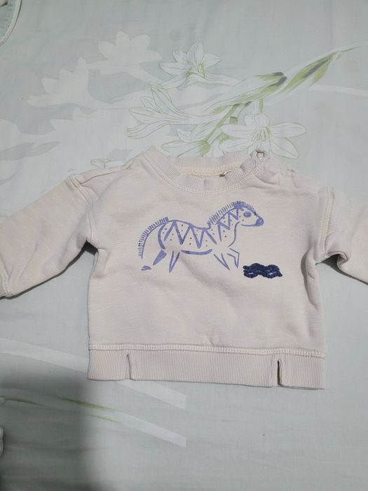 Lot bluze trening 1/3luni