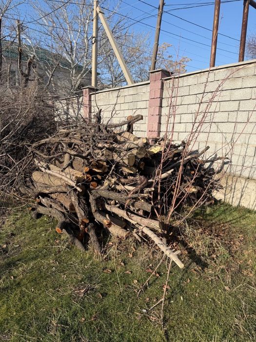 Тегін отын бар.  Бесплатные дрова