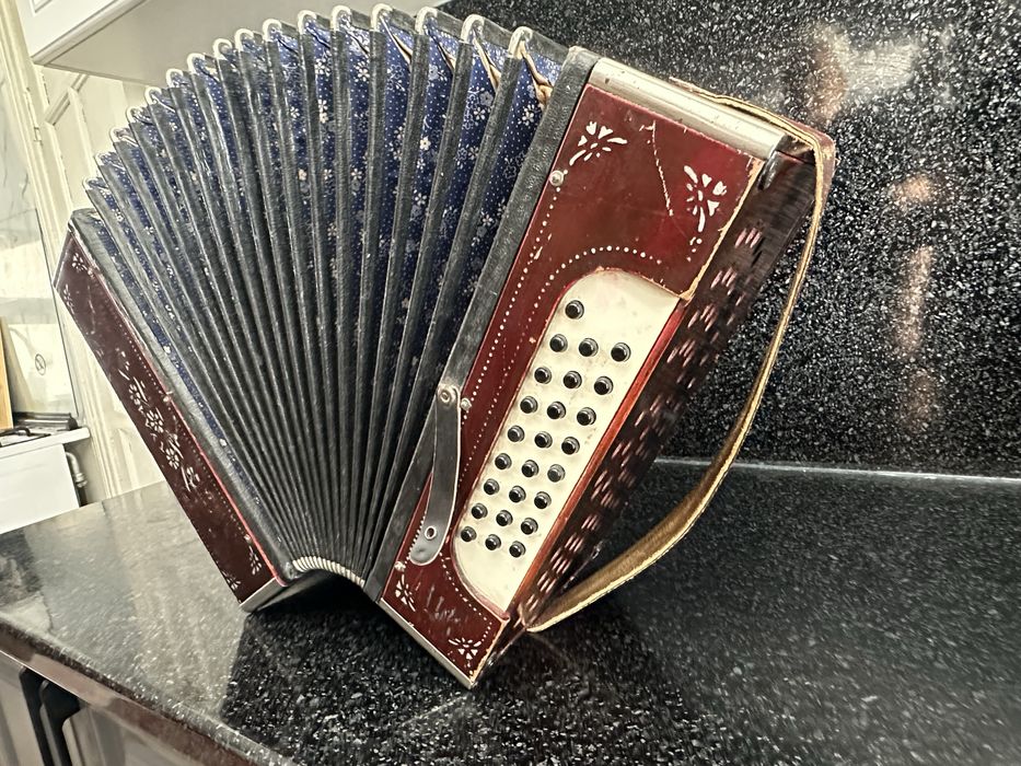 Гармошка гармонь тула