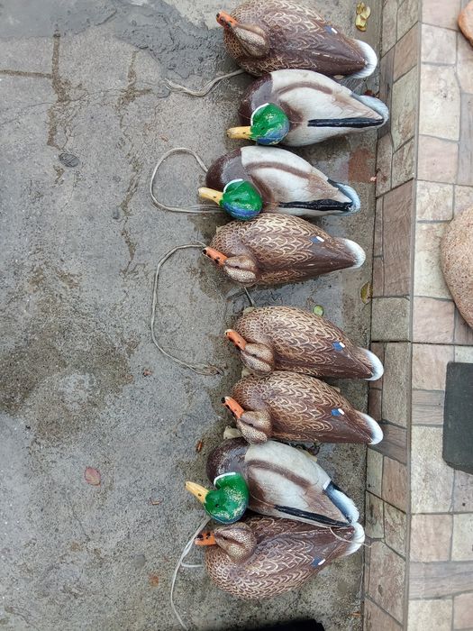 Утки подсадные 8шт.