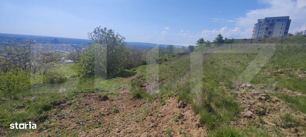 Teren Panoramic 15.500 mp – Investitie sau Dezvoltare, Zona Aleea Ma