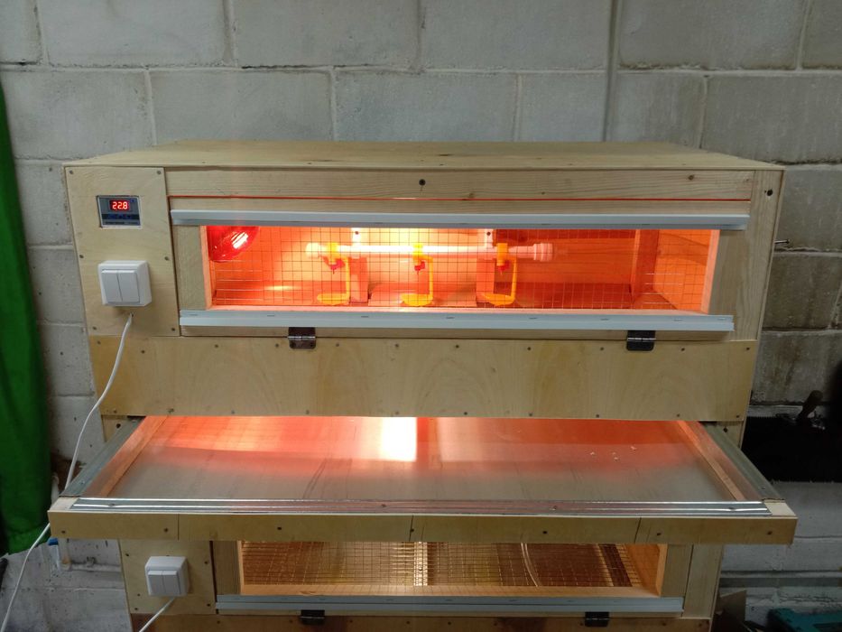 Брудер для цыплят