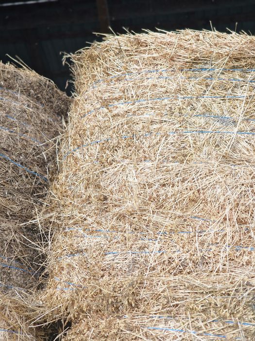 Vand Baloti de Lucerna de Calitate