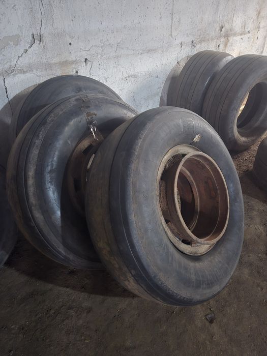 Шины на птс 12 авиационная