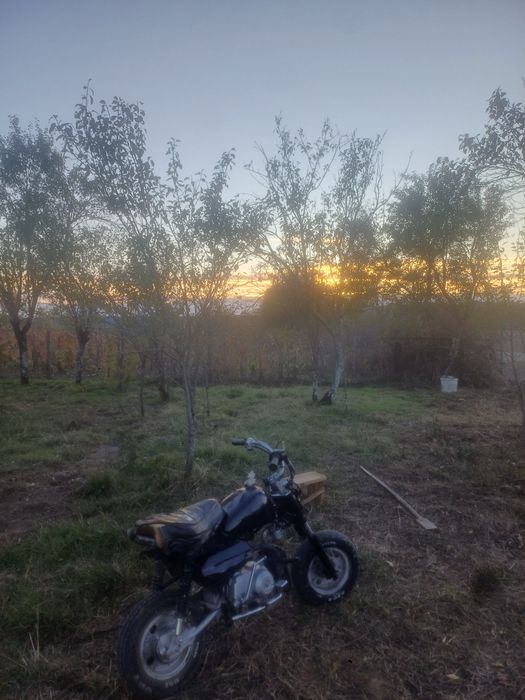 Vand Skyteam monkey 125cc