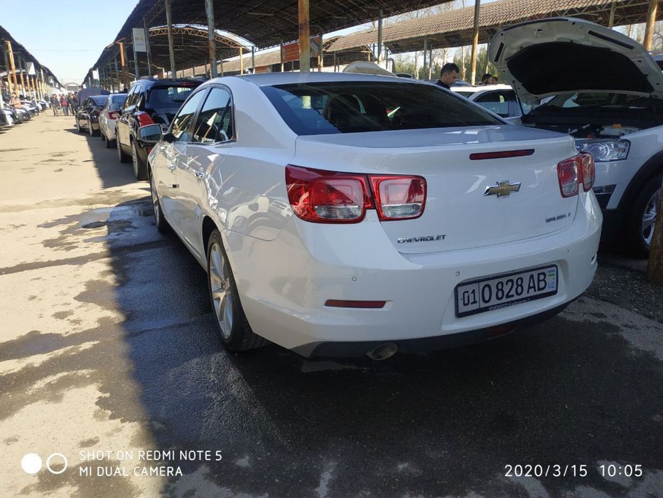 Malibu 1   3 pazitsa