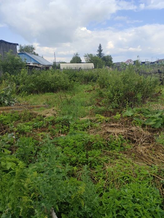 Продам дом в куротной зоне